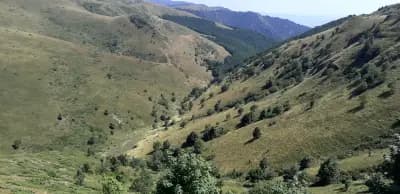 Сечената скала