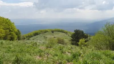 подковата "Търсовец"
