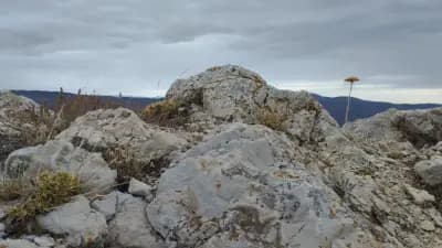 Връх Песченик