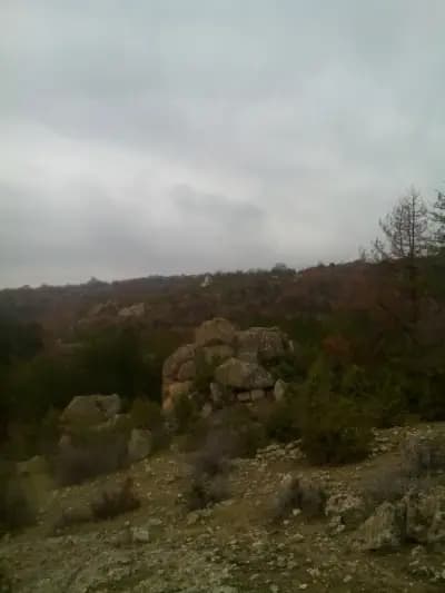 Адам Кая - Човекът-камък