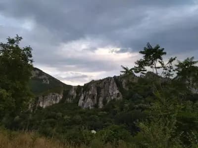 HAVUZLU PARK DOLCE VİTA