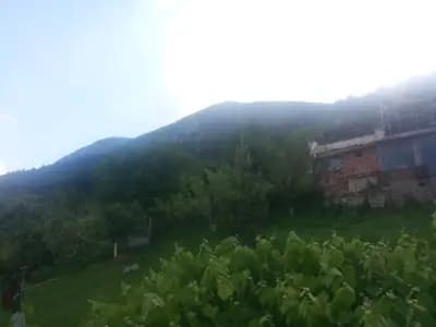 Къща музей "Баба Илийца"