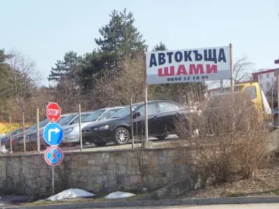 Шами