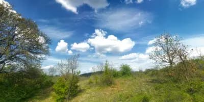Пикник Долно Войводино