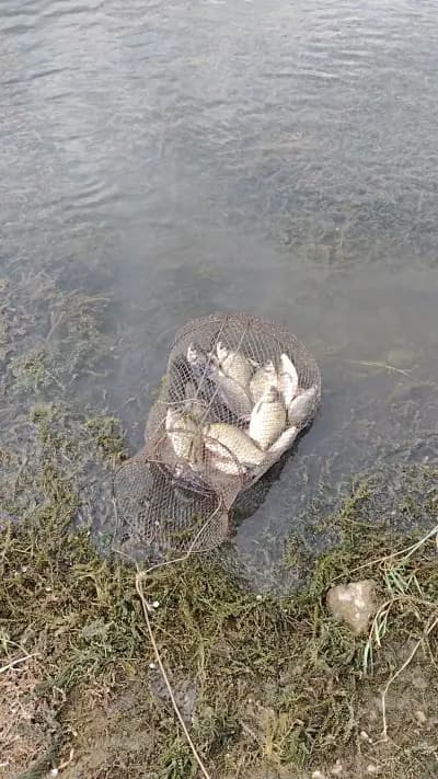 Каракуд дере