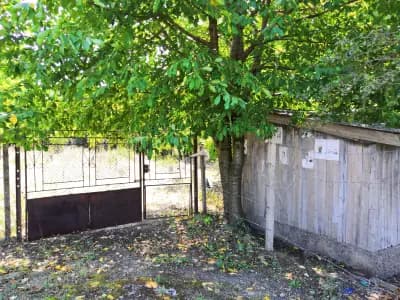 Гробищен парк - Долно Войводино