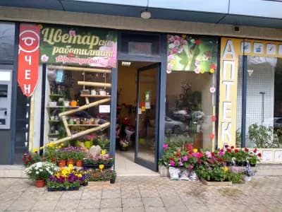 ЦВЕТАРСКА РАБОТИЛНИЦА Абракадабра