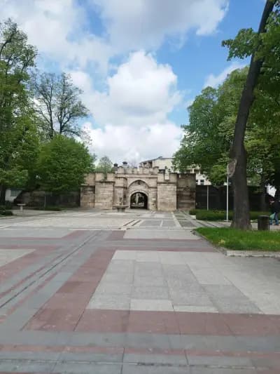 Explore Vidin and spread the word
