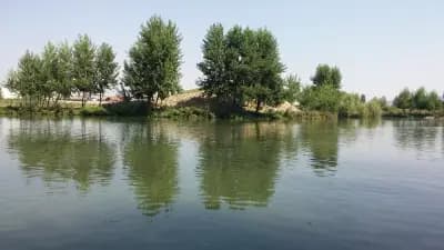 Стадион „Огоста“, град Монтана