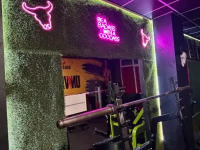 Bull Gym