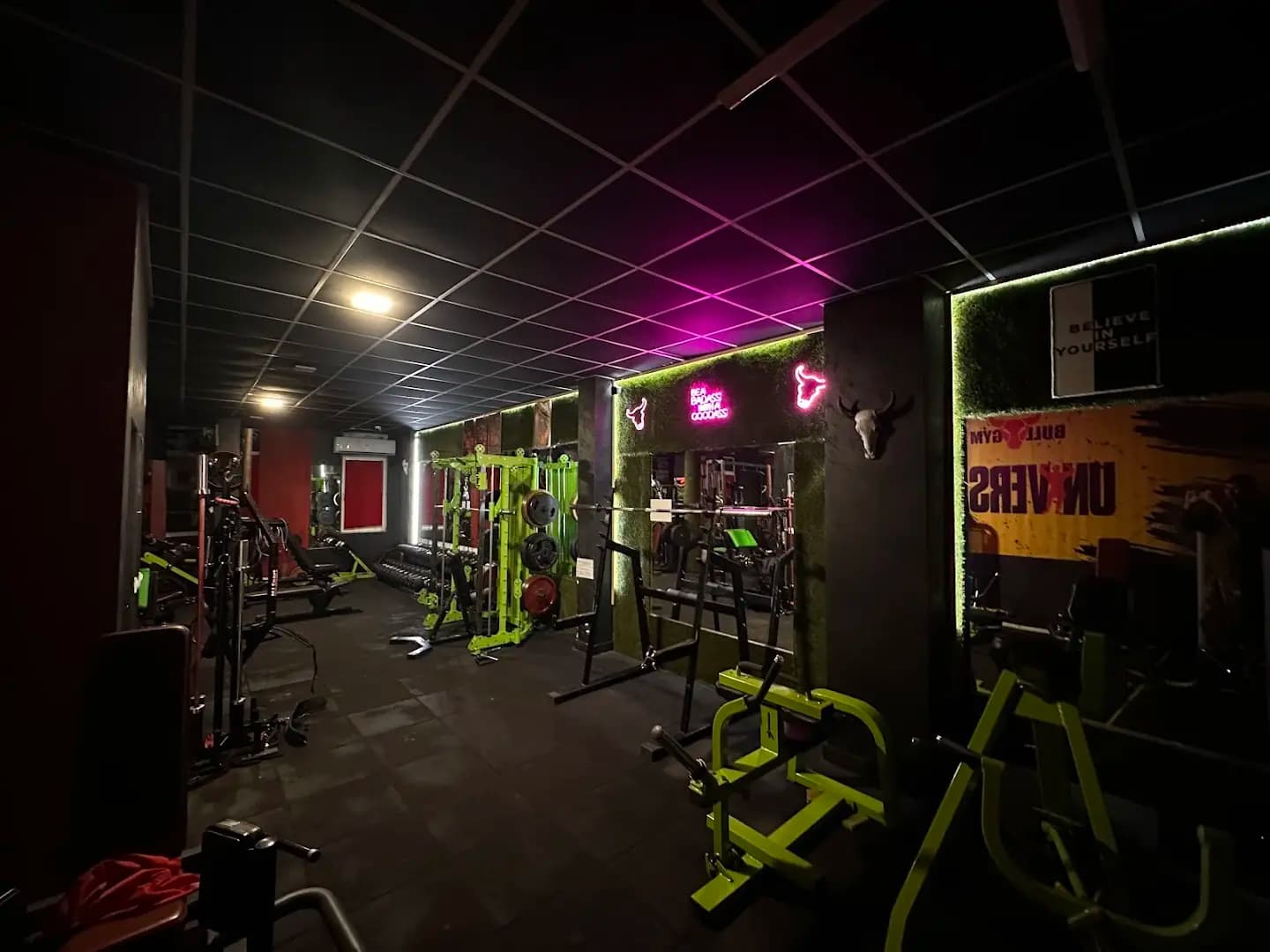 Bull Gym