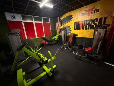Bull Gym