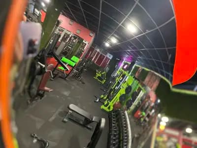 Bull Gym