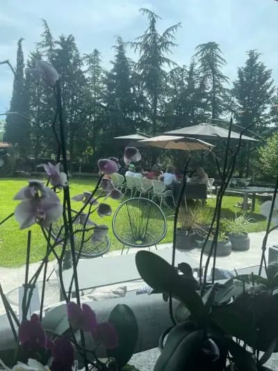 VILLA YANA Hotel Winery&Spa