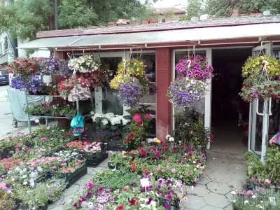 Bulgarien Travel