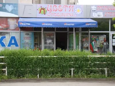 Цветарница СОНИТА