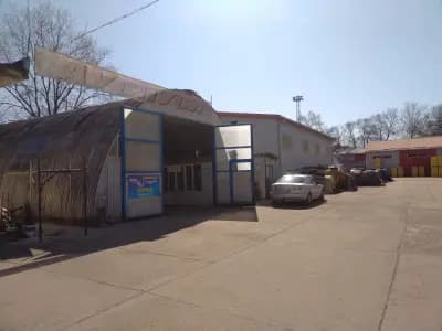 Даскалови ико оод