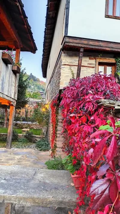 Kalinia Guesthouse B&B