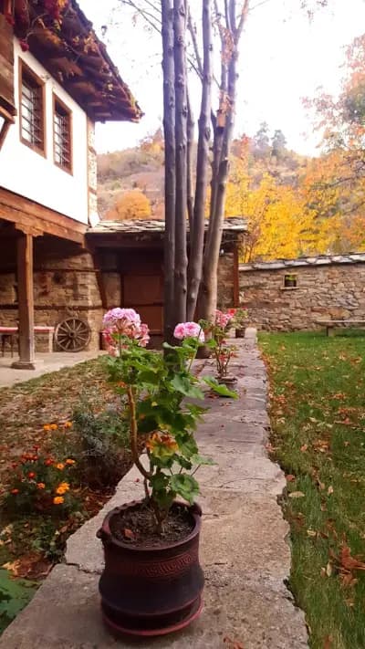 Kalinia Guesthouse B&B