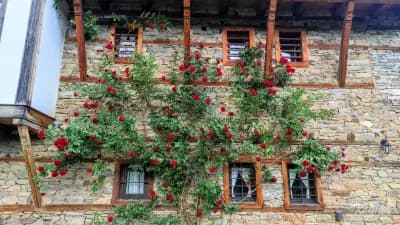Kalinia Guesthouse B&B