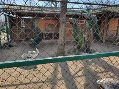 Зоологическа градина Пазарджик