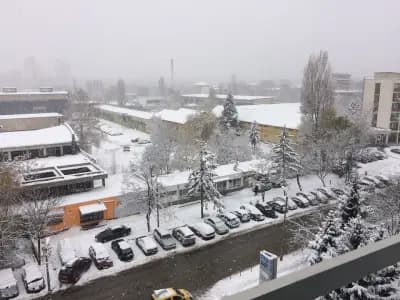 Телематик Интерактив България ЕАД