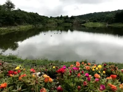 Park Hotel RAYA Garden