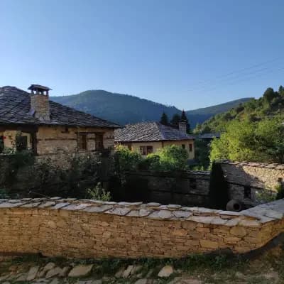 Twin House