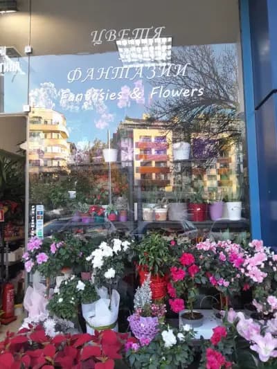 Fantasies & Flowers