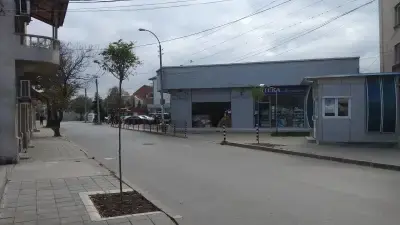 Вилтон Каргон