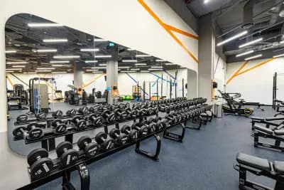 Next Level Fitness | Мол България