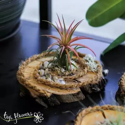 Магазин за цветя Top Flowers.com