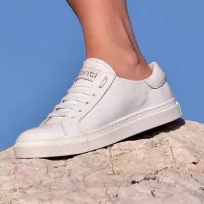 Tintishoes