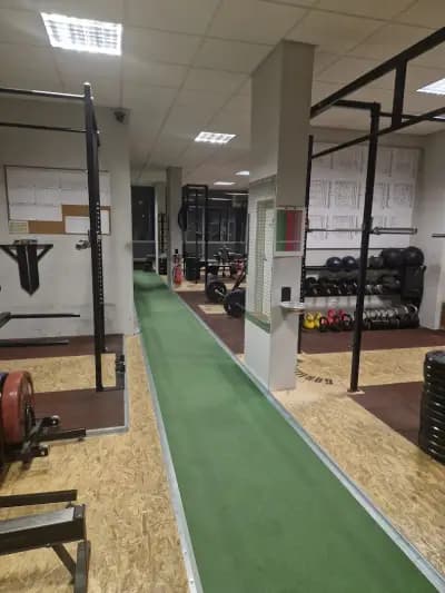 Gorilla Gym