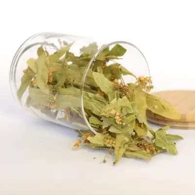 САШИВ