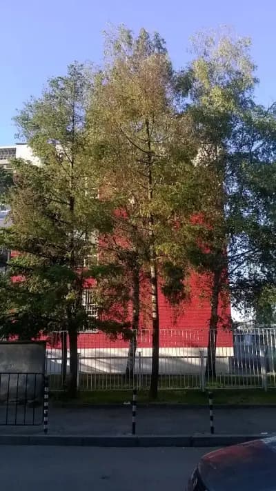 Национална търговско-банкова гимназия
