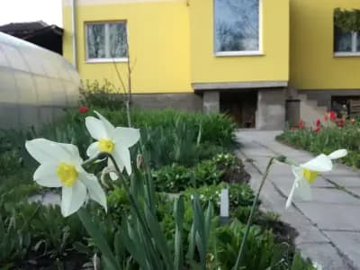 Стаи за гости "Дом Градина Вита" / Guest Rooms “House Vita Garden”