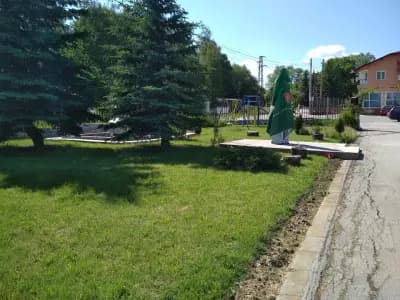 РИС