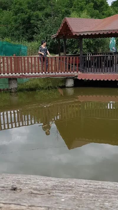 РИС