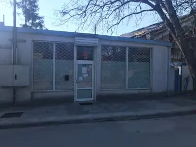 АИППМП Д-р Милена Димитрова-Пенчева