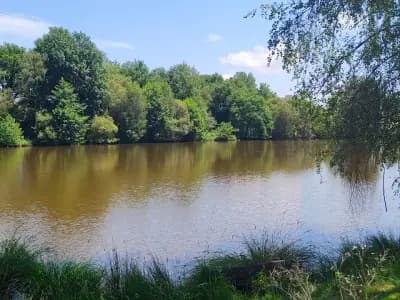 Петко Ангелов БГ ЕООД