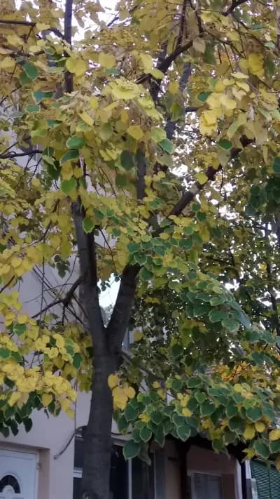 Хотел ВИАМА