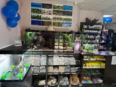 Аквариум БГ Пазарджик - Магазин за акваристика
