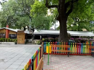 Стария Чинар Македония