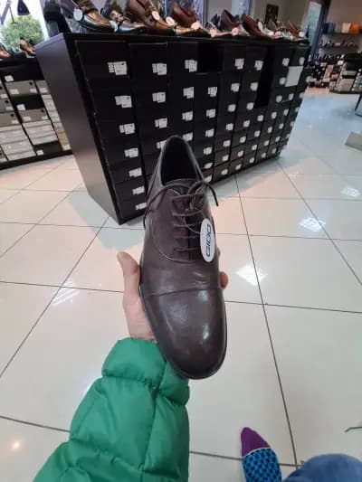 Гидо ООД