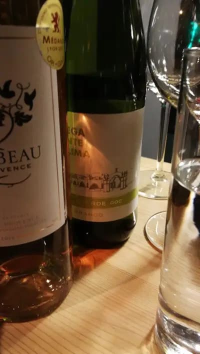Studyo del Vino