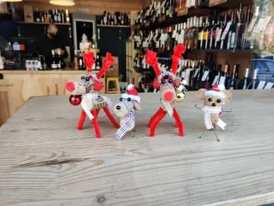 Studyo del Vino