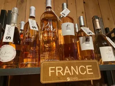 Studyo del Vino