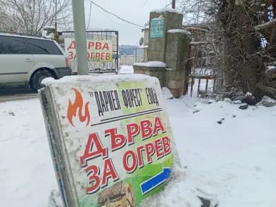 Дариел - Форест ЕООД дърва за огрев, Добрич