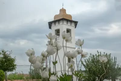 Църква Св. Димитър